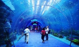 海洋最新爆料视频播放网站,最新海洋爆料视频网站带你领略海洋奇观