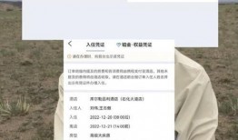 爆料怎么发最有效视频赚钱,如何利用爆料内容打造热门视频