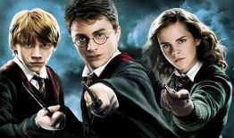 哈利波特二月份最新爆料,揭秘二月新爆料，神秘事件即将揭晓